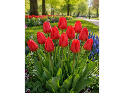 ChatGPT Image 24. 4. 2026 10 58 47