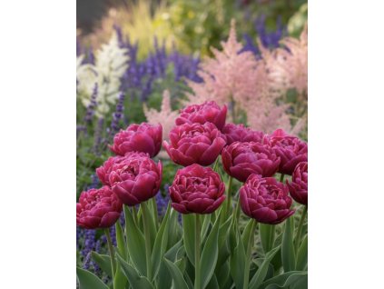 garden design 1769537982200