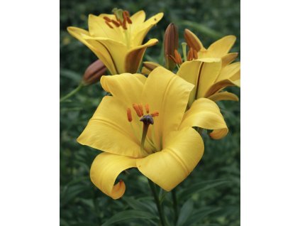 64071E37 7B76 4FAD 9E39 7518E26EE33E