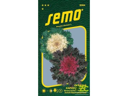 b20162df 928d 483a 9cee f1d6be8e97a7