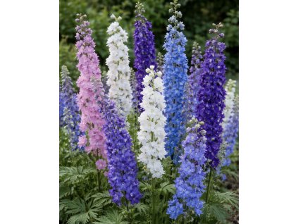 A048939D EF10 42BC B849 24365D709890