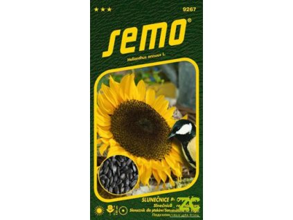 91dbf0e8 d447 41b7 98ca e10d64763a19