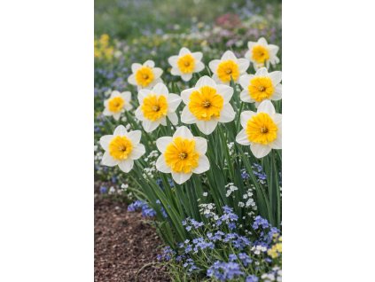 e00bd5d2 e7f9 4f84 b847 622623b42d63