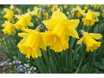 ChatGPT Image 2. 2. 2026 01 35 57