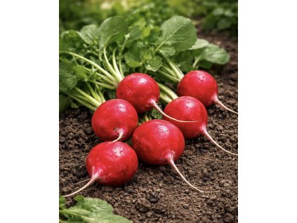 9977D66C C99A 4137 8529 9F318D2F344C