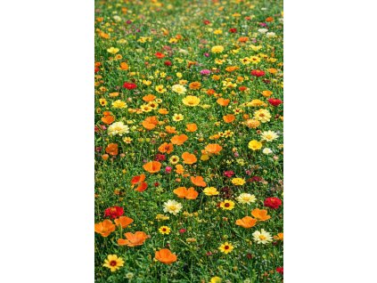 ChatGPT Image 10. 2. 2026 09 47 29