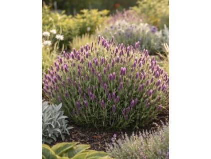 89A008F7 EA14 4871 AF89 2B62C39C6821