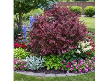 garden canvas 7250022a 05c2 409a 906a 2946afdc5f4c