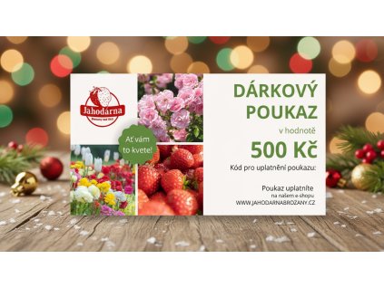 Generated Image November 25, 2025 12 28PM