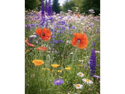 C726302D 6B1F 430F A251 A548CB3B8DE6