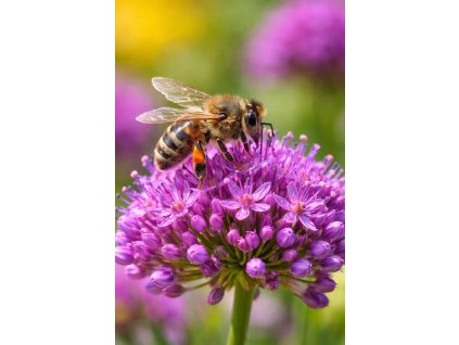 ChatGPT Image 10. 2. 2026 08 15 14