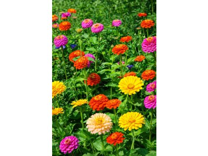 ChatGPT Image 10. 2. 2026 10 06 15