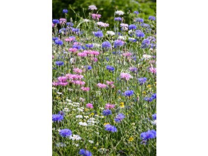 ChatGPT Image 10. 2. 2026 09 58 43