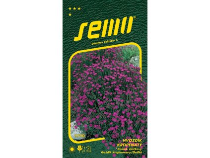 hvozdik kropenaty maiden pink 0 1g