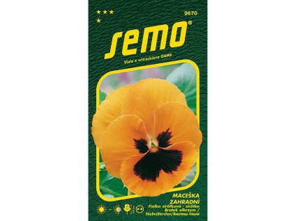 9670 maceska oranzova vs