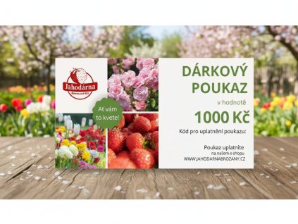 white bg result (68)