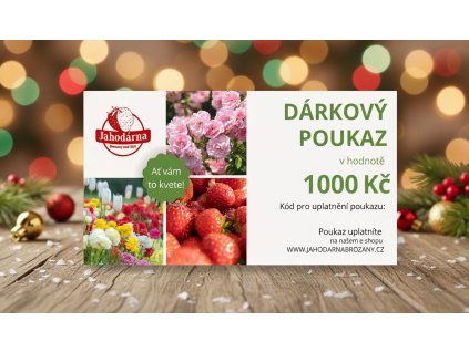 Generated Image November 25, 2025 12 30PM