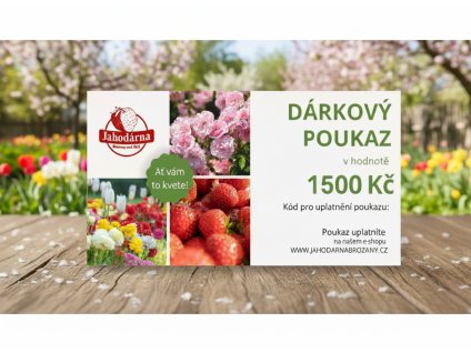 white bg result (69)