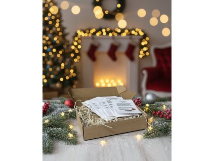 Generated Image November 19, 2025 10 18AM