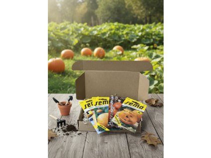 white bg result (61)