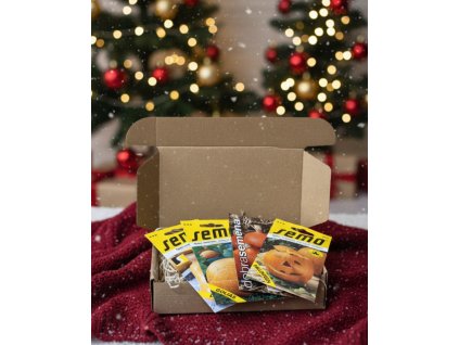 Generated Image November 18, 2025 2 50PM