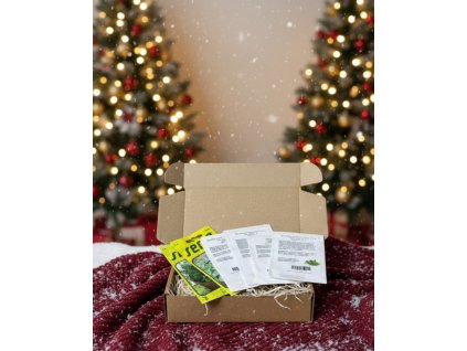 Generated Image November 18, 2025 2 52PM