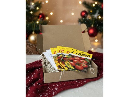 Generated Image November 18, 2025 2 48PM