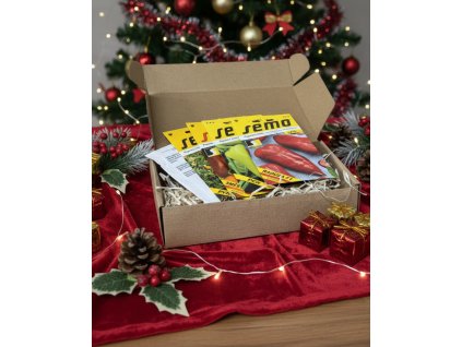 Generated Image November 18, 2025 2 46PM