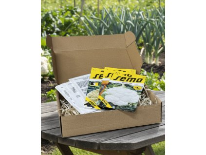 white bg result (79)