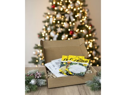 Generated Image November 19, 2025 9 59AM