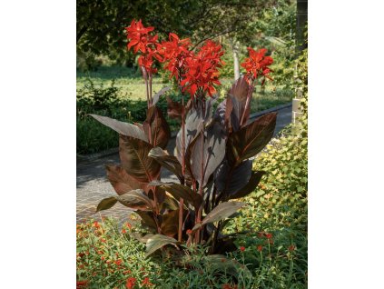 5C97CF73 8692 42DD 8ADC 35A561063132