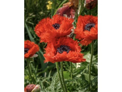 45E9F814 4D32 45E3 AB21 4B01289BFDD7