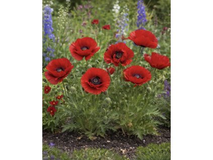 1C0F203A C62E 4841 A8C7 46DB9F00B792