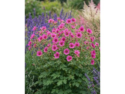 ChatGPT Image 20. 3. 2026 07 44 27