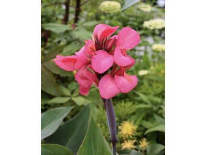 8B2F24B8 0F39 4DA6 9AEE B5EA5450B833