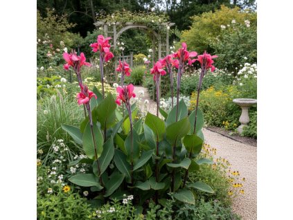 garden vision 1769511431280