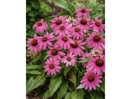 68F25B25 0E4A 4934 BF57 D75F6A624548