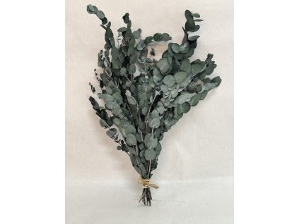 Eucalyptus gunii stabilizovaný zelený 150 g