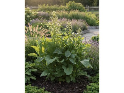 A54E448F 6D84 48E4 8E57 718579930256