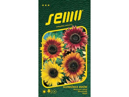 slunecnice rocni autumn beauty 2g