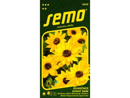 slunecnice slaba sunny babe 1 2g serie nektar party