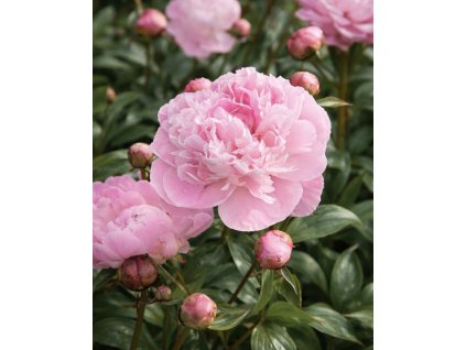 E9136CF2 1928 4D46 8F77 2752356B2C17