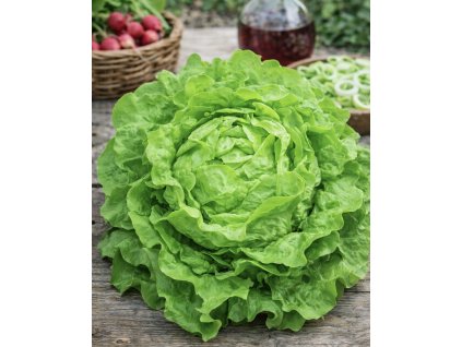 6D84766E 82F4 4A22 B1C6 A944F4754383