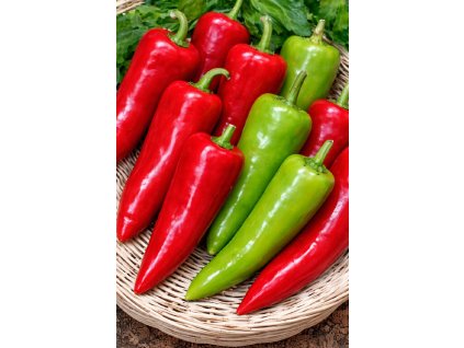 ChatGPT Image 10. 2. 2026 10 08 02