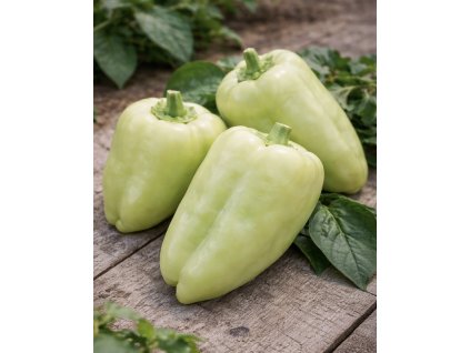 3FF39975 16C7 4077 88E9 82509B64CB0D