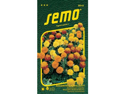 aksamitnik rozkladity petit smes 1g