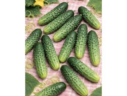 DB1A125F A77C 4DD6 81D9 60A8B0A7FF36