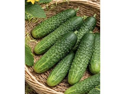 C10F5A2A EF99 43A5 87A9 BD834D8378CC