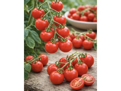 72DAD744 BD73 427F 97FD 6DA3219DA848