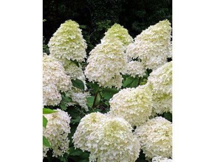 iStock 1618859400 modified 64376c5f 4596 477b 9d4a 939238572598